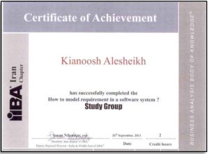 IIBA - How to model requirement in a software system?