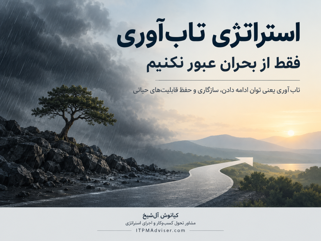 Resilience Strategy
